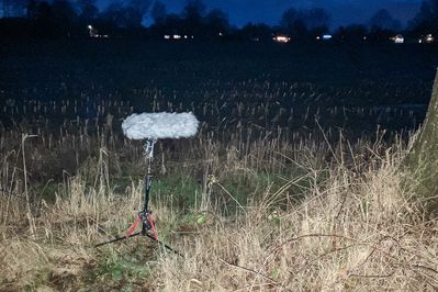 Das Mikrofon auf einem Ständer in der Dunkelheit, irgendwo im Nichts, 500m entfernt von allen Häusern